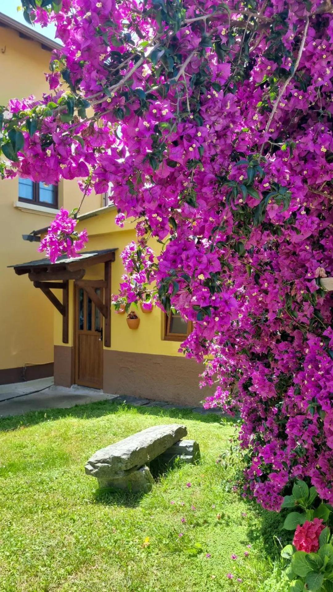 La Quintana De Figares Apartman Luarca Kültér fotó